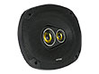 enlarge speaker