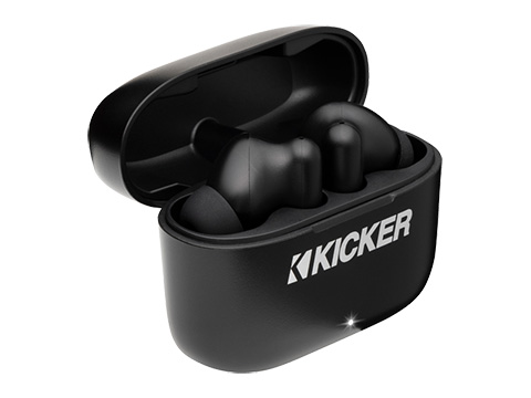 TW2 Bluetooth Earbuds